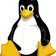 Removing Exif Data from an Image on Linux using exiftool